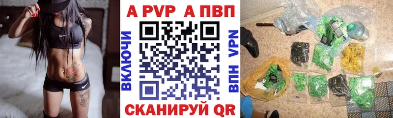 ОМГ ОМГ вход как найти Шацк A PVP СК КРИС