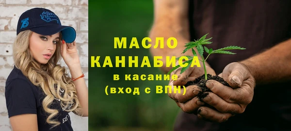 стаф Медногорск