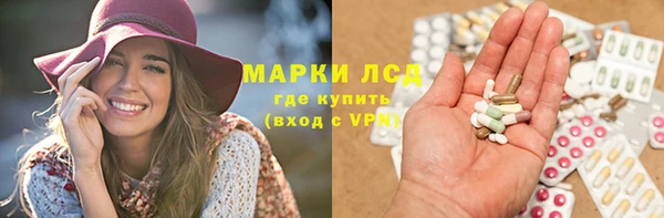 стаф Медногорск