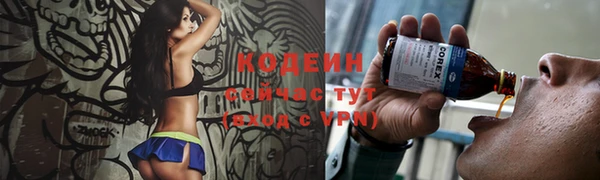 стаф Медногорск