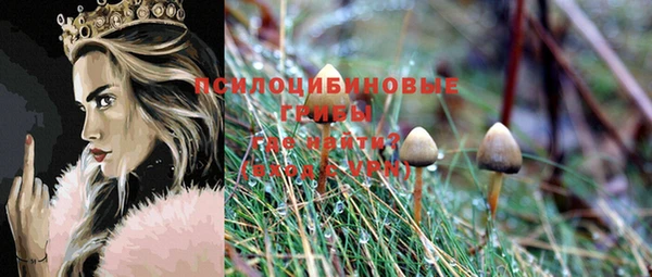 MDMA Медвежьегорск