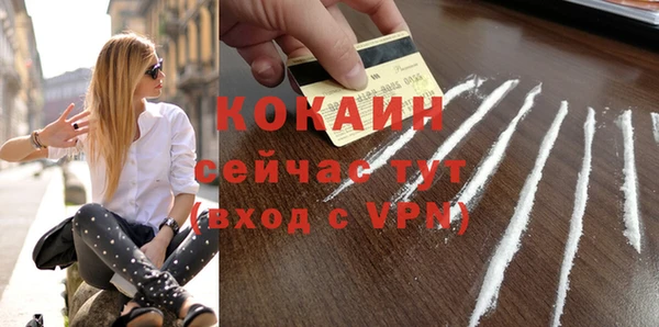 стаф Медногорск