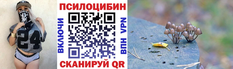 Псилоцибиновые грибы GOLDEN TEACHER  Шацк 